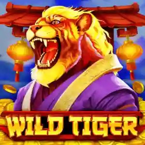 Wild Tiger by BGAMING, showcased at instantcasino-de.com – game logo